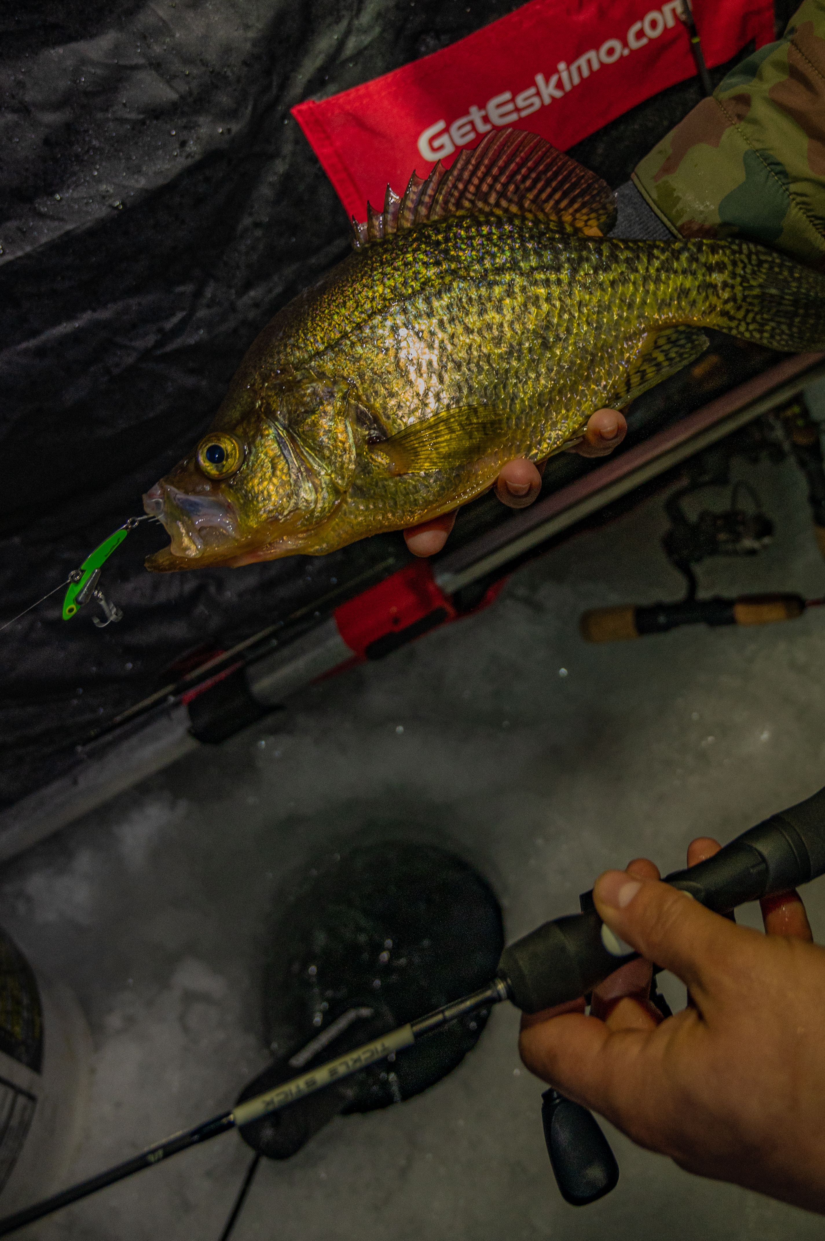 Capt Steve Niemoeller #1 Best Guided Fishing Adventure